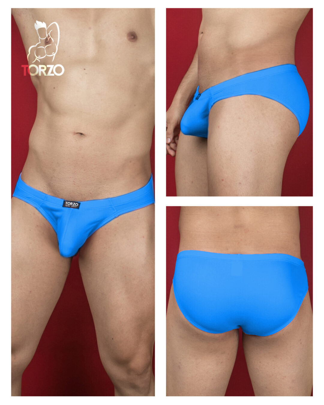 Bikini Torzo Plumbago - Image 2