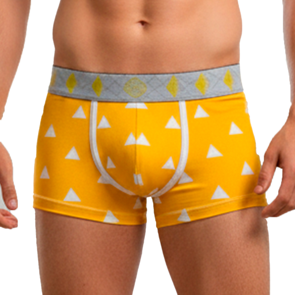 Boxer DS Zenitsu Agatsuma