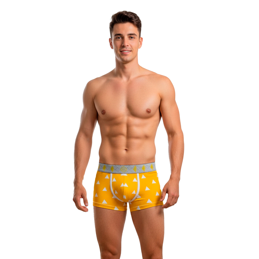 Boxer DS Zenitsu Agatsuma