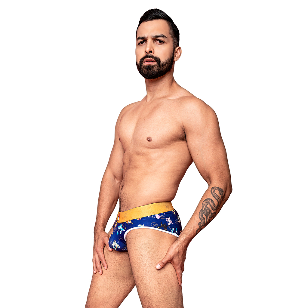 Brief Funtasy Pokemon Eevee Evolutions - Image 4