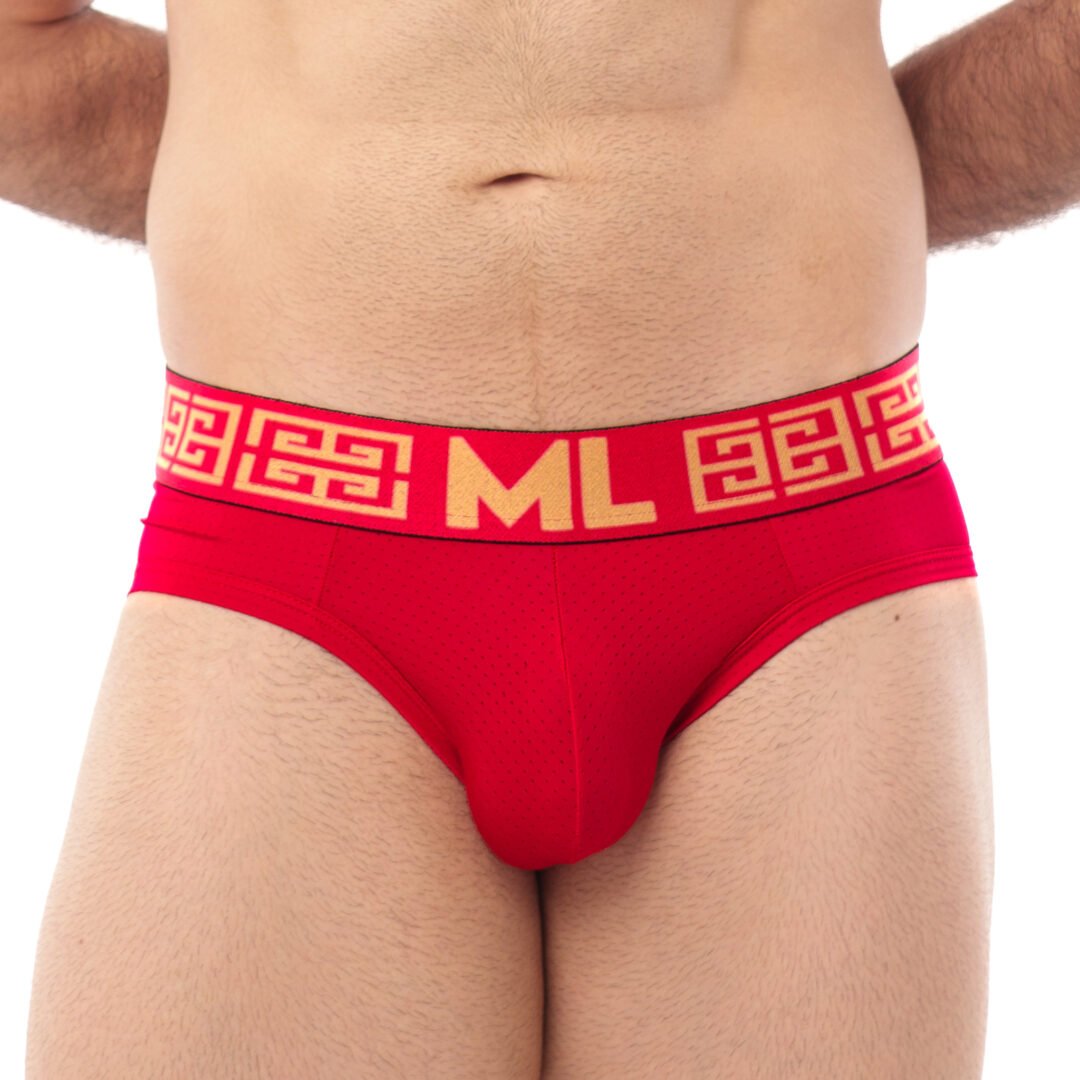 Brief Mens Look Grecas Rojo
